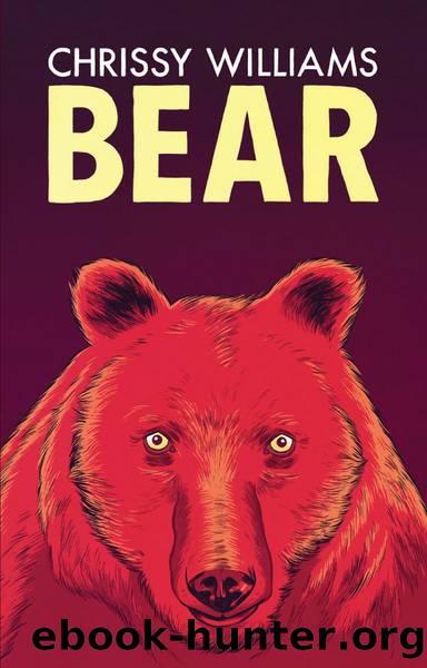 Bear by Chrissy Williams