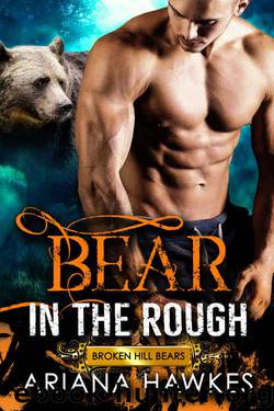 Bear in the Rough: Bear Shifter Romance (Broken Hill Bears Book 1) by Ariana Hawkes