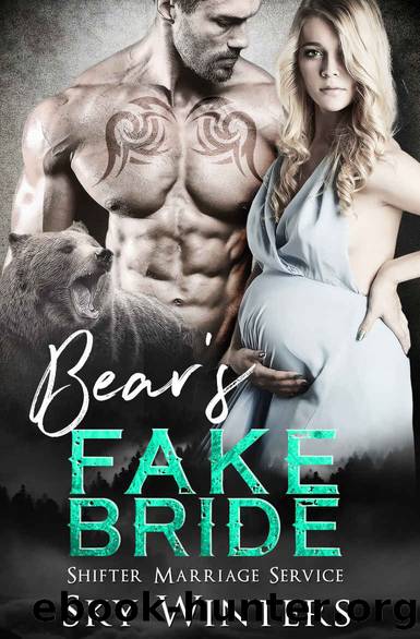 Bear's Fake Bride by Sky Winters