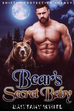 Bear's Secret Baby (Shifter Protection Agency Book 2) by Brittany White