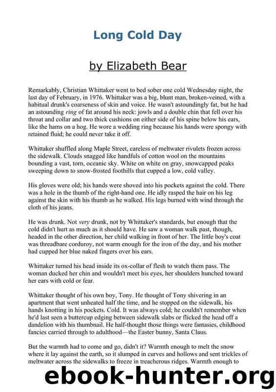Bear, Elizabeth - Long Cold Day by Bear Elizabeth