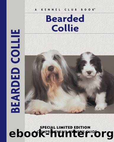 Bearded Collie by Bryony Harcourt-Brown