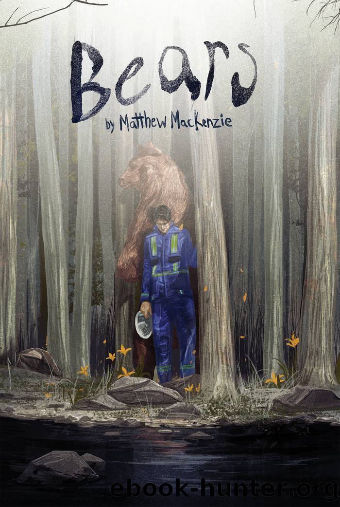 Bears by Matthew MacKenzie