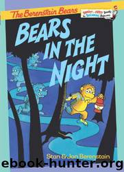 Bears in the Night by Berenstain Stan & Jan