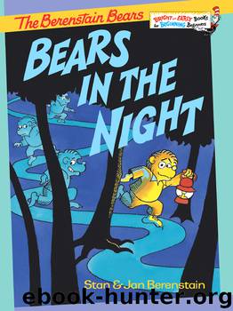 Bears in the Night by Stan Berenstain