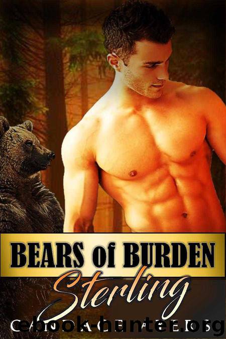 Bears of Burden: STERLING by Ayers Candace