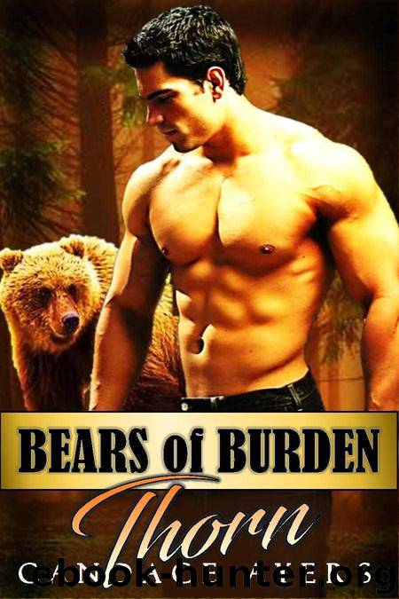 Bears of Burden: THORN by Ayers Candace