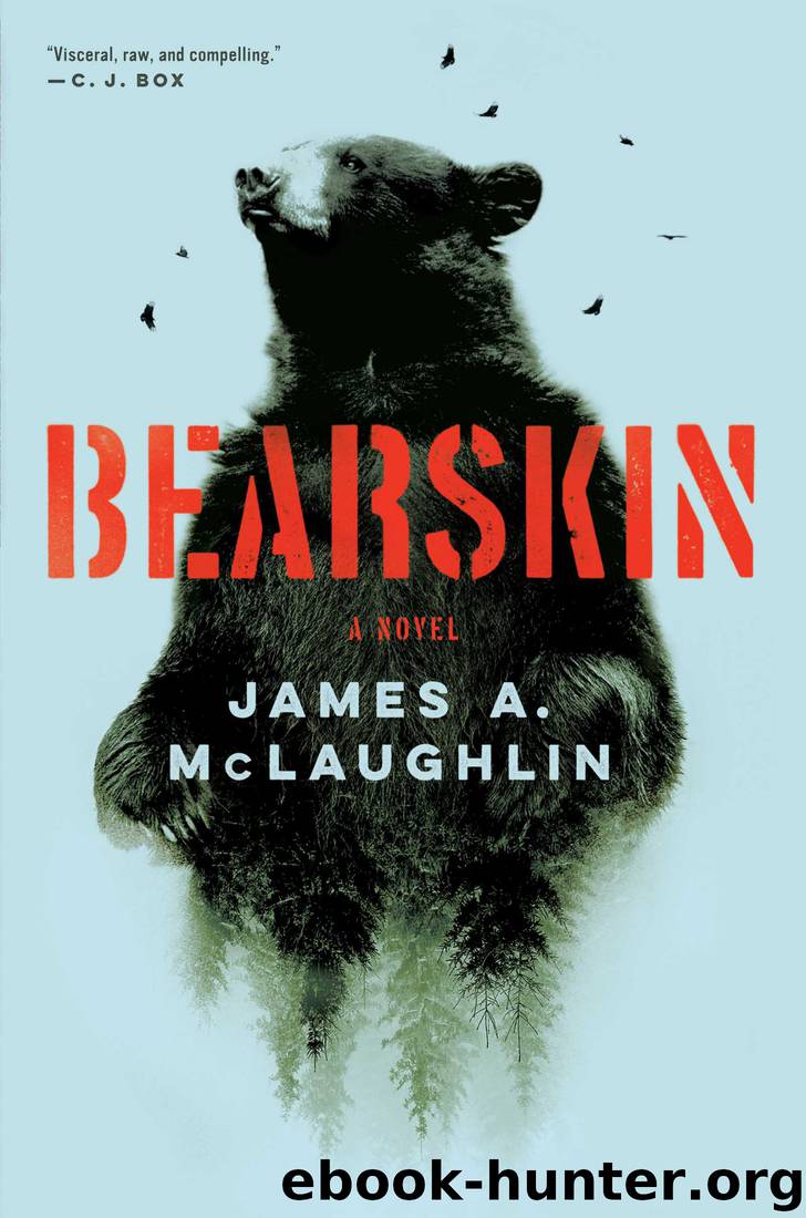 Bearskin by James A McLaughlin