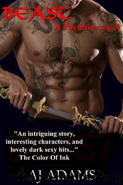 Beast (A Prydain novel Book 1) by AJ Adams