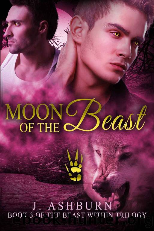 Beast Within 03 - Moon of the Beast by J. Ashburn