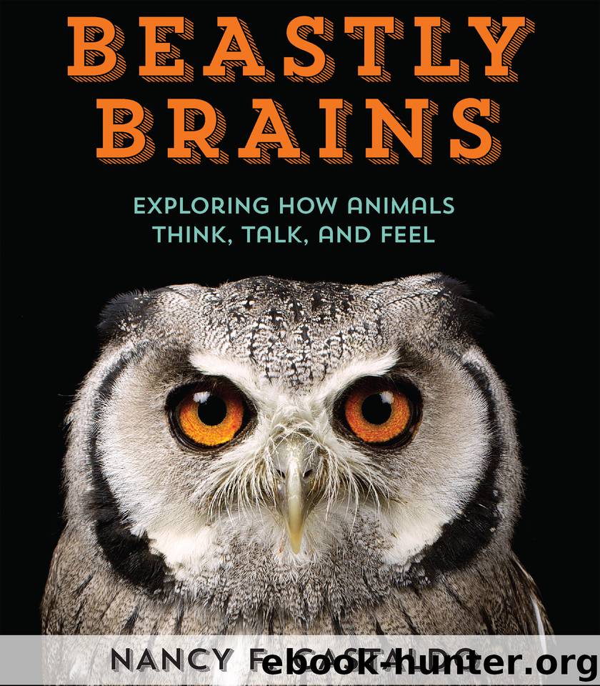 Beastly Brains by Nancy Castaldo