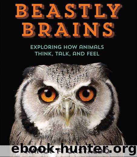 Beastly Brains: Exploring How Animals Think, Talk, and Feel by Nancy Castaldo