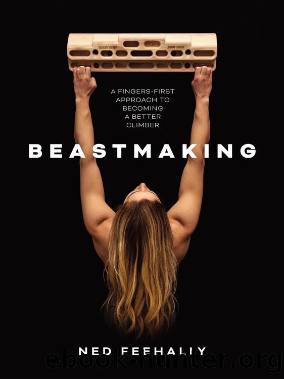 Beastmaking by Ned Feehally