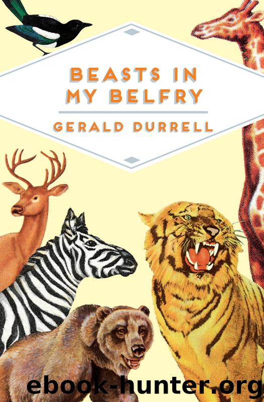 Beasts in my Belfry by Gerald Durrell