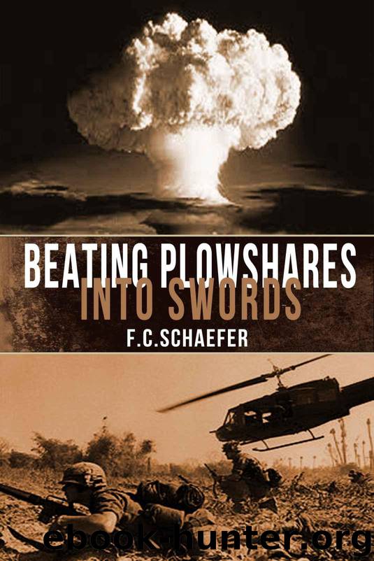 Beating Plowshares into Swords: An Alternate History of the Vietnam War by F.C. Schaefer
