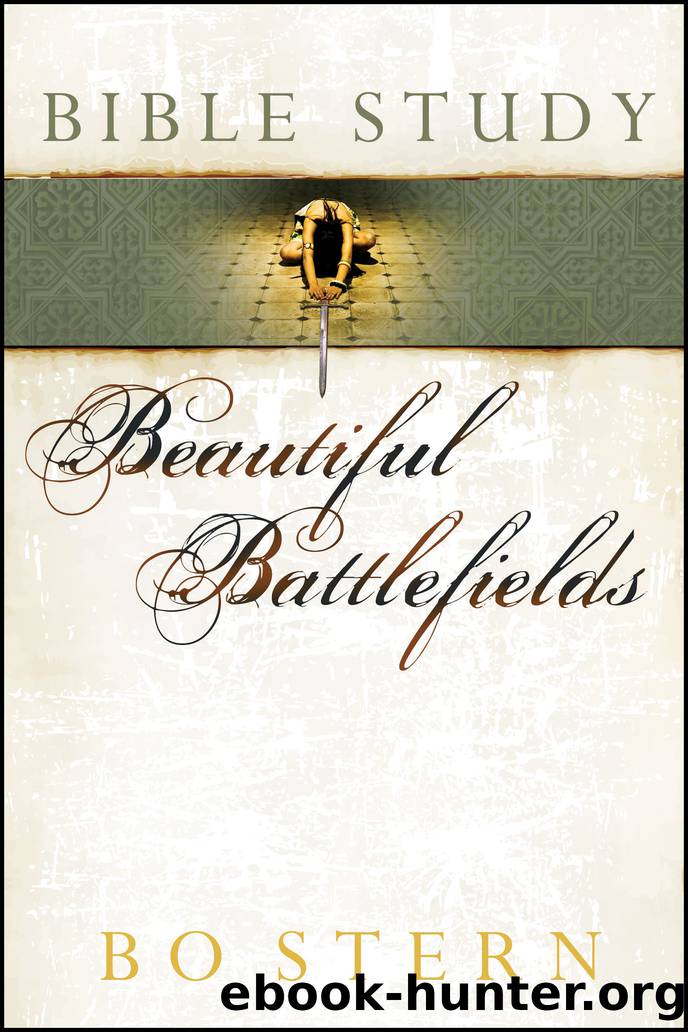 Beautiful Battlefields Bible Study by Stern Bo;