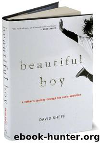 Beautiful Boy: A Father's Journey Through His Son's Addiction by David Sheff