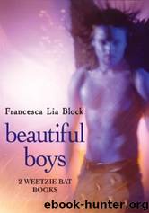Beautiful Boys: Two Weetzie Bat Books by Francesca Lia Block