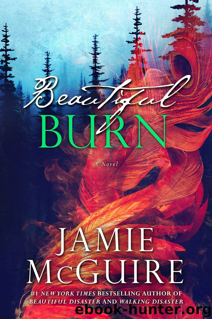 Beautiful Burn (The Maddox Brothers #4) by Jamie McGuire