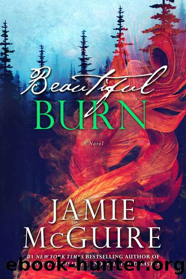Beautiful Burn by Jamie McGuire