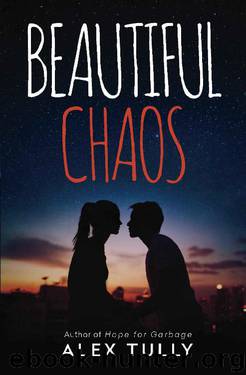 Beautiful Chaos by Alex Tully