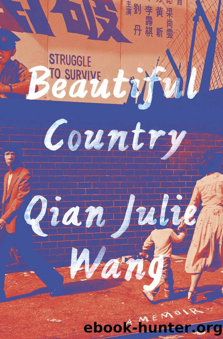 Beautiful Country by Qian Julie Wang
