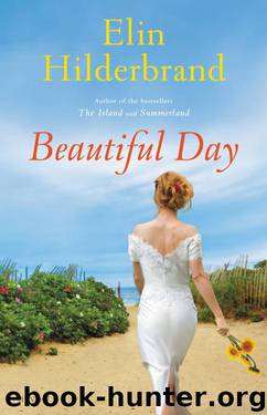 Beautiful Day A Novel by Elin Hilderbrand