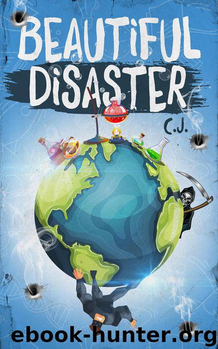 Beautiful Disaster by C.J
