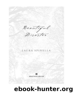 Beautiful Disaster by Laura Spinella