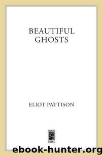 Beautiful Ghosts (Inspector Shan Tao Yun) by Eliot Pattison
