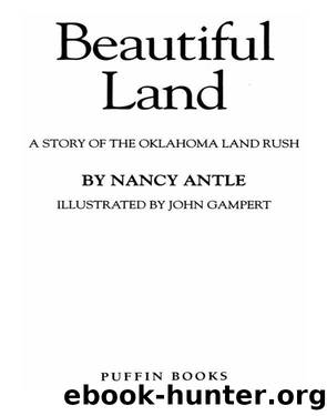 Beautiful Land by Nancy Antle