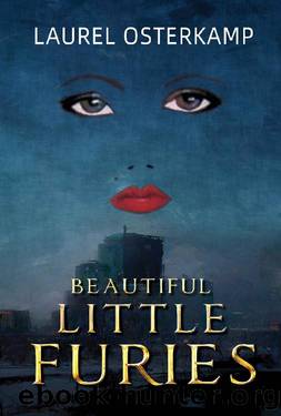 Beautiful Little Furies: Compelling Women's Psychological Fiction by Laurel Osterkamp