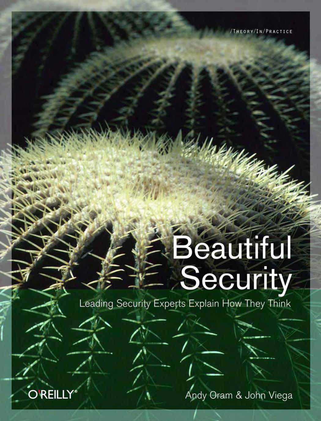 Beautiful Security by Andy Oram