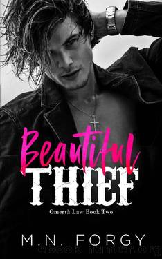 Beautiful Thief (OmertÃ  Law #2) by M.N. Forgy