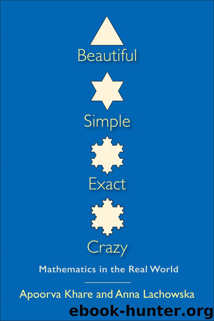 Beautiful, Simple, Exact, Crazy by Apoorva Khare