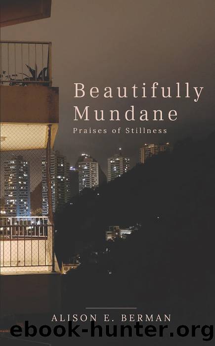 Beautifully Mundane by Alison E. Berman