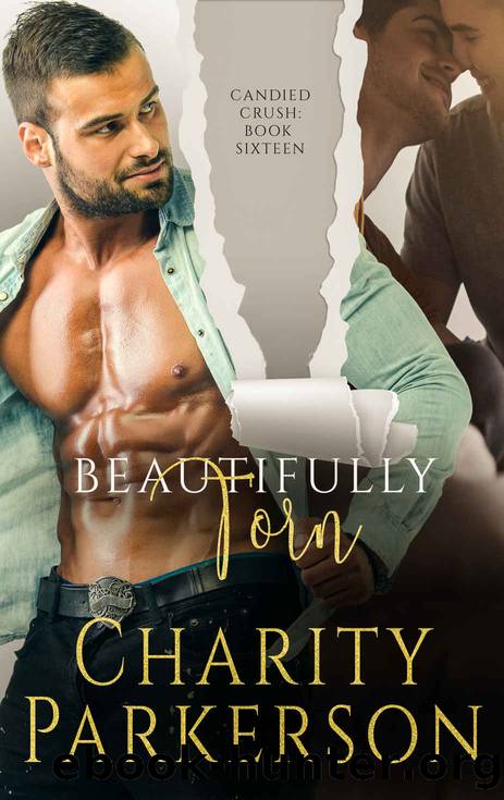 Beautifully Torn by Charity Parkerson