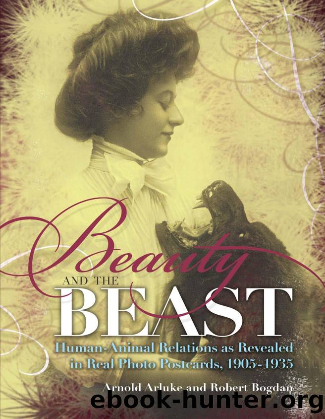 Beauty and the Beast by Arluke Arnold