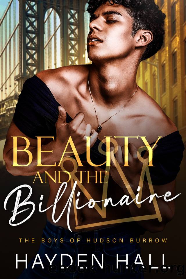 Beauty and the Billionaire (The Boys of Hudson Burrow Book 3) by Hayden Hall