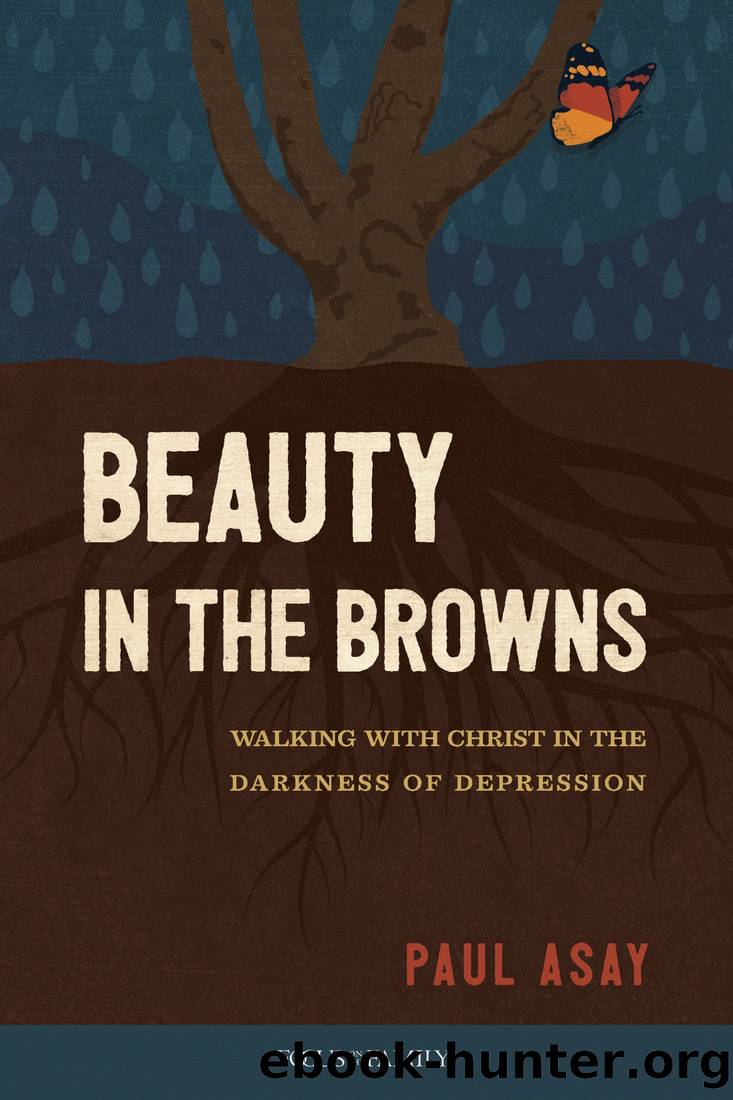 Beauty in the Browns by Paul Asay