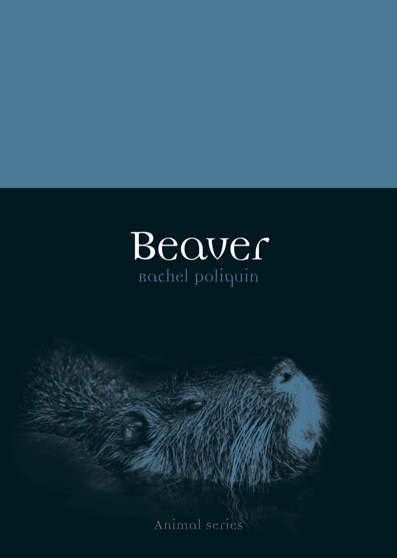Beaver by Rachel Poliquin