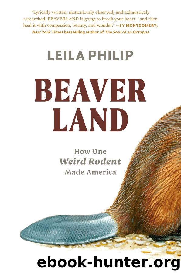 Beaverland by Leila Philip