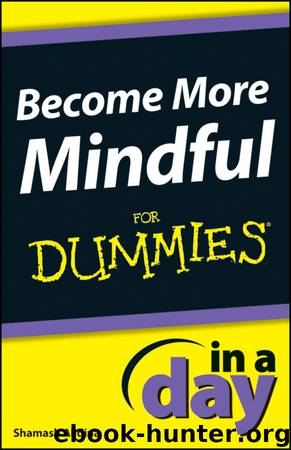 Become More Mindful In a Day For Dummies by Alidina Shamash