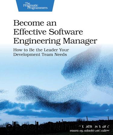 Become an Effective Software Engineering Manager by Stanier James Dr