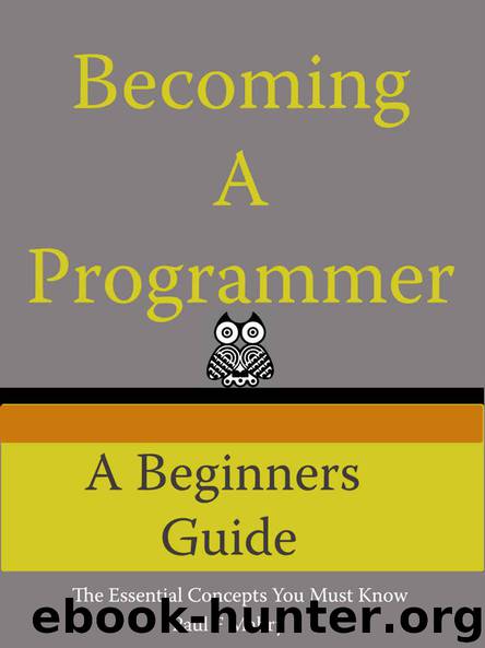 Becoming A Programmer: A Beginner's Guide by Paul Mabry