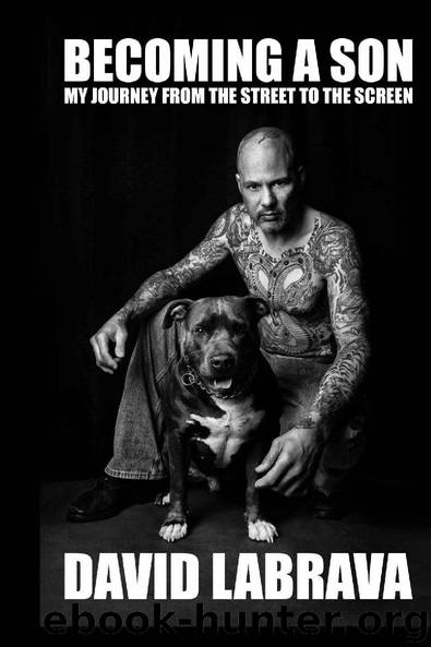Becoming A Son by David Labrava