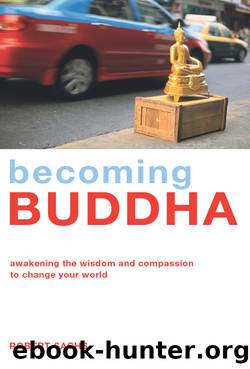 Becoming Buddha by Robert Sachs