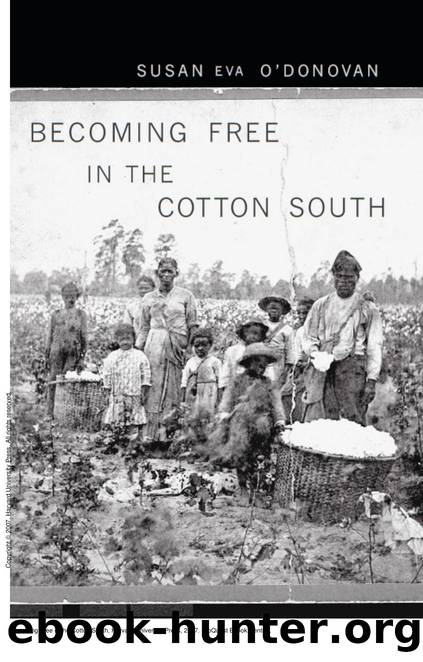 Becoming Free in the Cotton South by Susan Eva O'Donovan