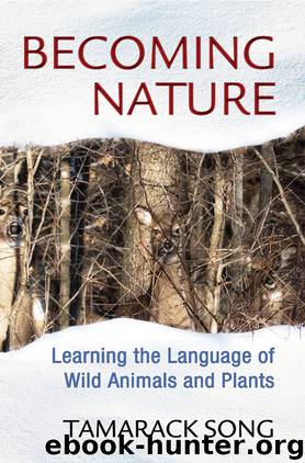 Becoming Nature by Tamarack Song