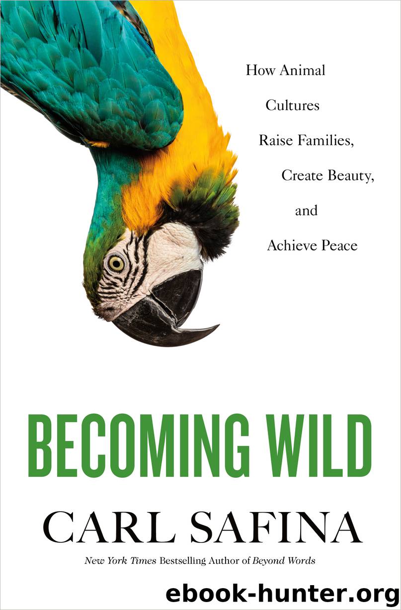 Becoming Wild by Carl Safina